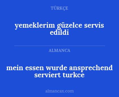 yemeklerim güzelce servis edildi - mein essen wurde ansprechend serviert turkce