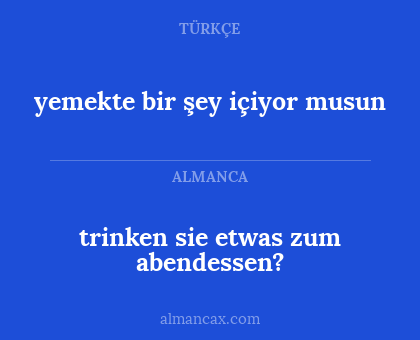trinken sie etwas zum abendessen? - yemekte bir şey içiyor musun