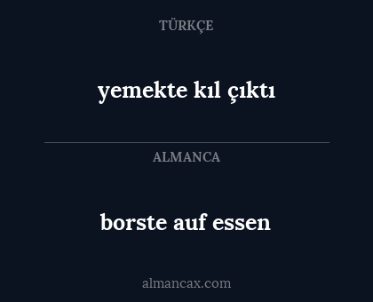 borste auf essen - yemekte kıl çıktı