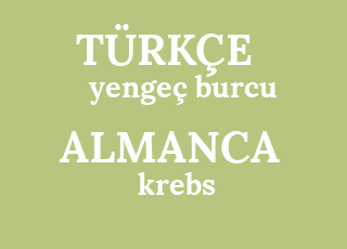 yenge%C3%A7+burcu-krebs.png
