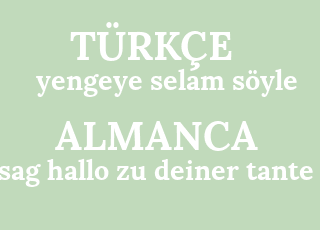 tetka+selam+s%C3%B6yle-sag+hallo+zu+deiner+tante.png