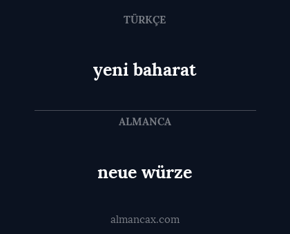 neue würze - yeni baharat