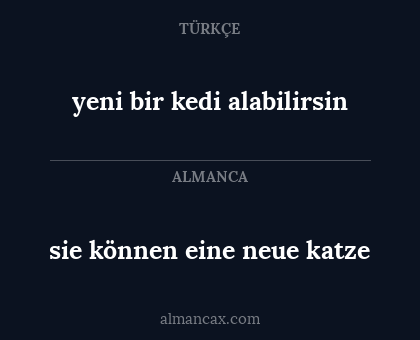 sie können eine neue katze - yeni bir kedi alabilirsin