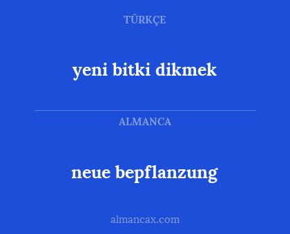 neue bepflanzung - yeni bitki dikmek