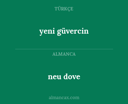 neu dove - yeni güvercin