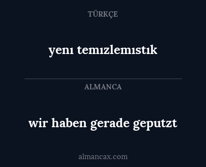 wir haben gerade geputzt - yenı temızlemıstık