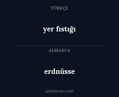erdnüsse - yer fıstığı