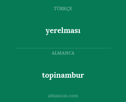 topinambur - yerelması