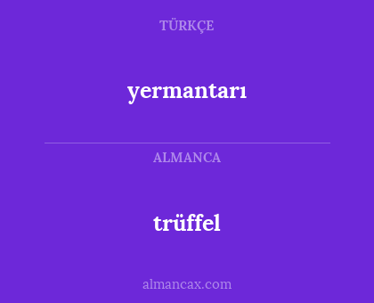 trüffel - yermantarı