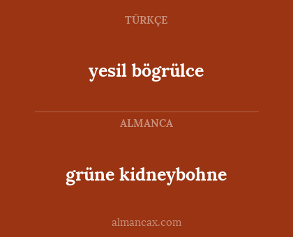 grüne kidneybohne - yesil bögrülce