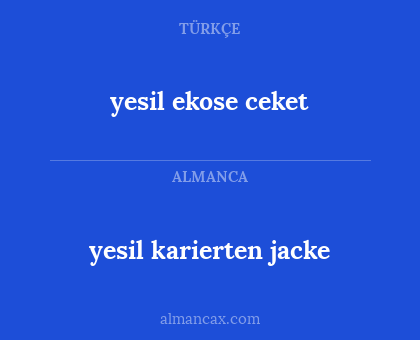yesil karierten jacke - yesil ekose ceket