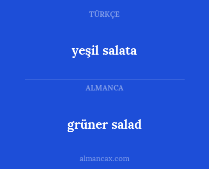 grüner salad - yeşil salata