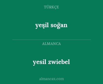 yeşil soğan - yesil zwiebel