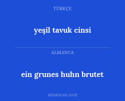 ein grunes huhn brutet - yeşil tavuk cinsi
