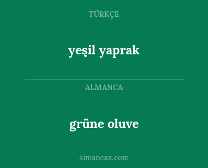 yeşil yaprak - grüne oluve