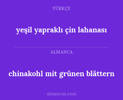 chinakohl mit grünen blättern - yeşil yapraklı çin lahanası