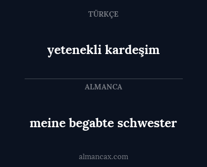 meine begabte schwester - yetenekli kardeşim