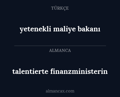 talentierte finanzministerin - yetenekli maliye bakanı