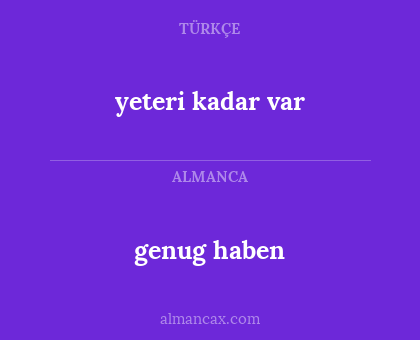 genug haben - yeteri kadar var