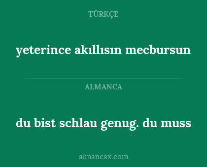 yeterince akıllısın mecbursun - du bist schlau genug. du muss