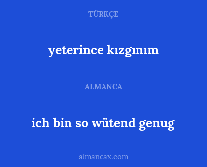yeterince kızgınım - ich bin so wütend genug