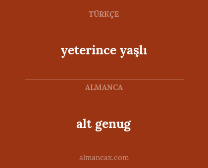 alt genug - yeterince yaşlı