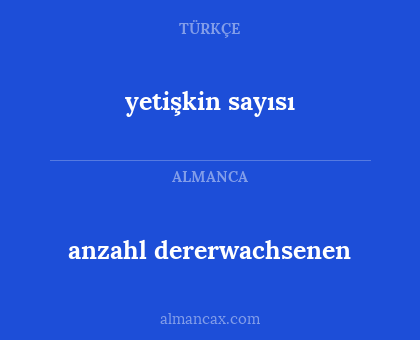 yetişkin sayısı - anzahl dererwachsenen