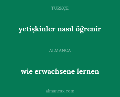 yetişkinler nasıl öğrenir - wie erwachsene lernen