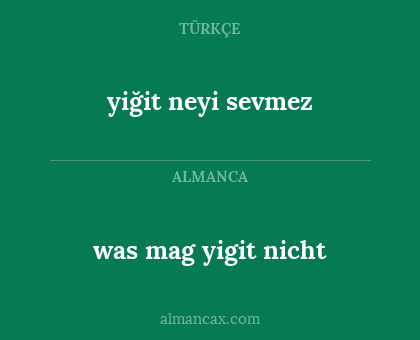 was mag yigit nicht - yiğit neyi sevmez