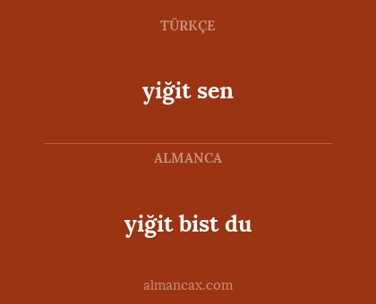 yiğit sen - yiğit bist du