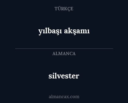 silvester - yılbaşı akşamı