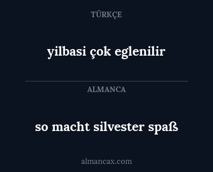 yilbasi çok eglenilir - so macht silvester spaß