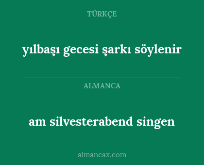 yılbaşı gecesi şarkı söylenir - am silvesterabend singen