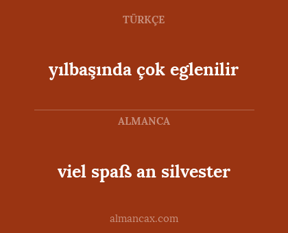 yılbaşında çok eglenilir - viel spaß an silvester