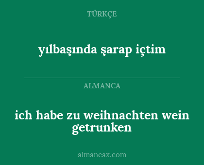 ich habe zu weihnachten wein getrunken - yılbaşında şarap içtim