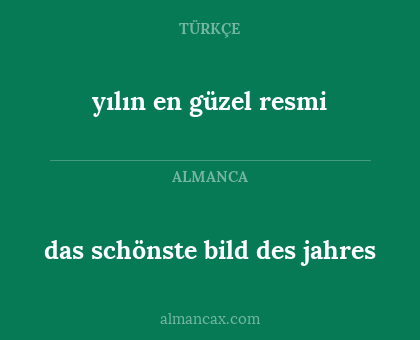 das schönste bild des jahres - yılın en güzel resmi