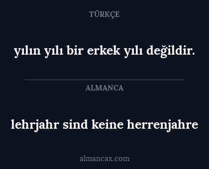 lehrjahr sind keine herrenjahre - yılın yılı bir erkek yılı değildir.