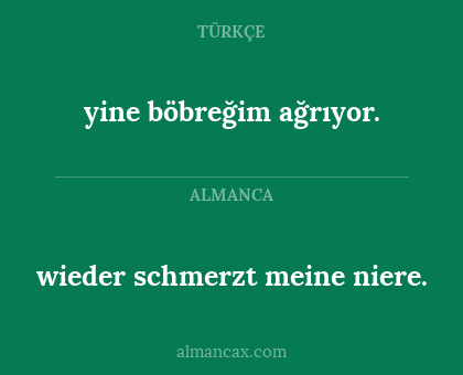 wieder schmerzt meine niere. - yine böbreğim ağrıyor.