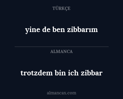 trotzdem bin ich zibbar - yine de ben zibbarım