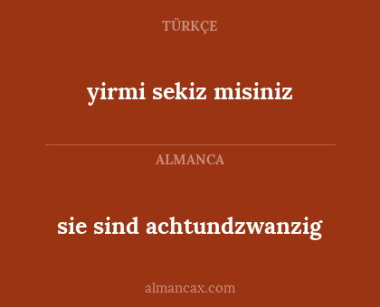 yirmi sekiz misiniz - sie sind achtundzwanzig