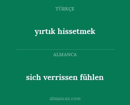 yırtık hissetmek - sich verrissen fühlen