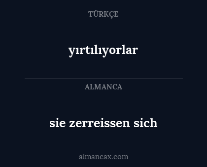 sie zerreissen sich - yırtılıyorlar