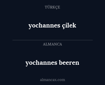 yochannes çilek - yochannes beeren