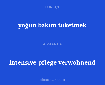 yoğun bakım tüketmek - intensıve pflege verwohnend