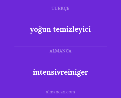 intensivreiniger - yoğun temizleyici