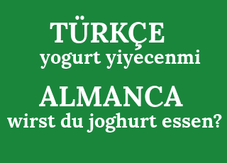 yogurt+yiyecenmi-wirst+du+joghurt+essen%3F.png