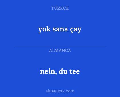 nein, du tee - yok sana çay
