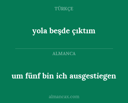um fünf bin ich ausgestiegen - yola beşde çıktım