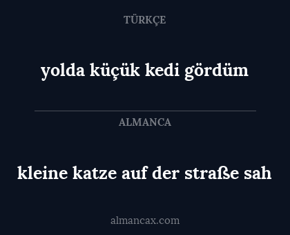 yolda küçük kedi gördüm - kleine katze auf der straße sah
