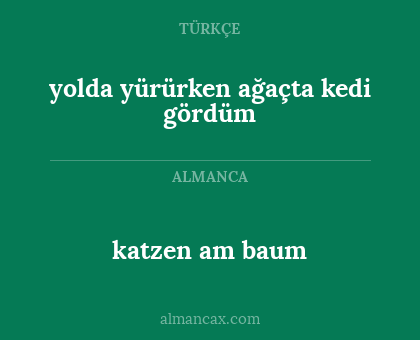 katzen am baum - yolda yürürken ağaçta kedi gördüm